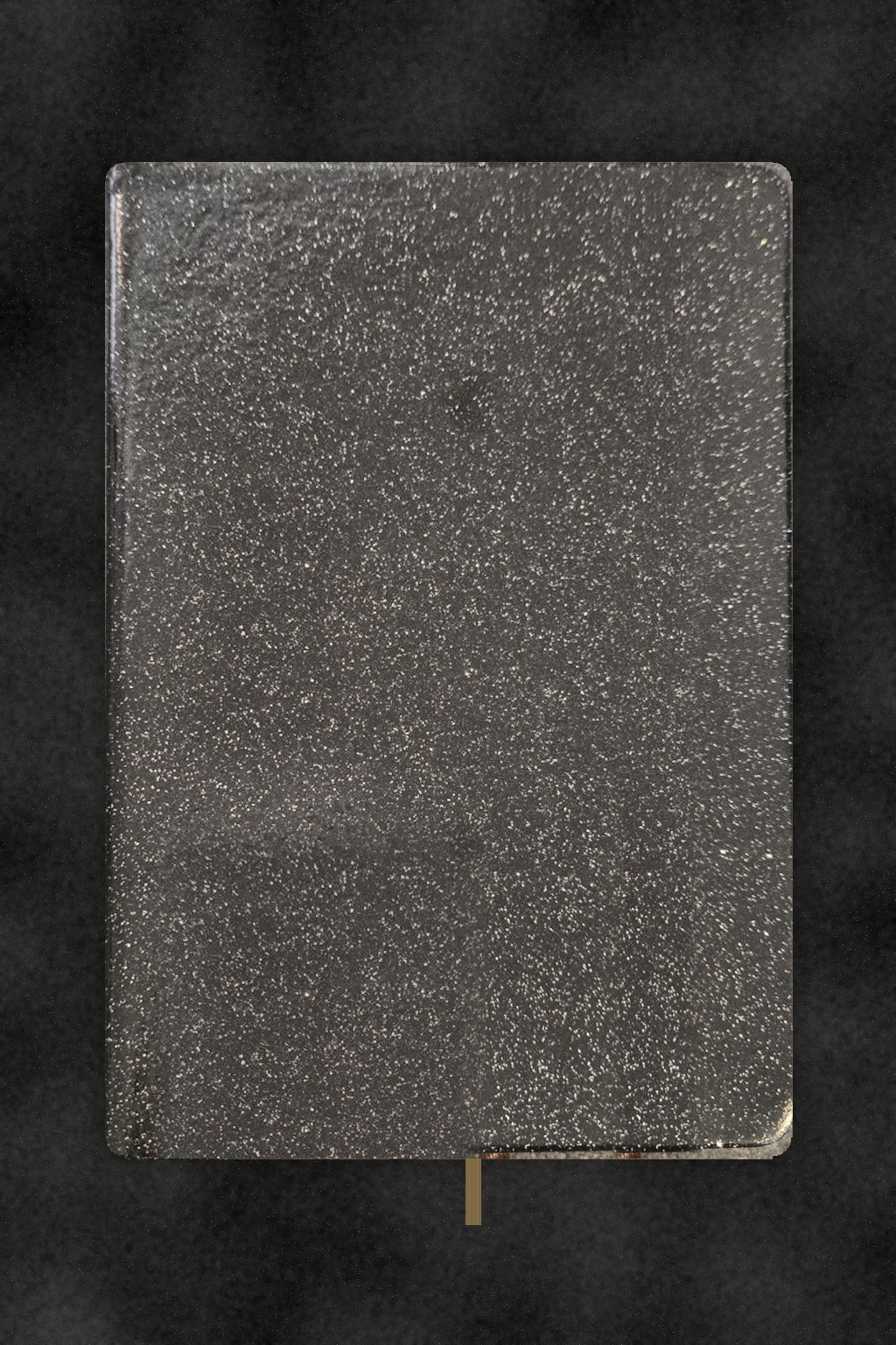 Black Sparkly Notebook