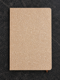 Gold Sparkly Noteboo