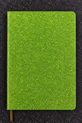 Green Sparkly Notebook